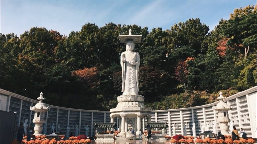 Exploring Kyoto, Tokyo and Seoul