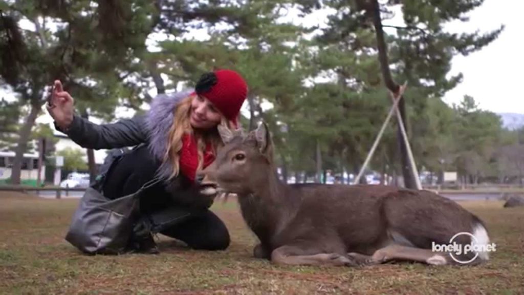 Japan Revealed: Sights & Activities - Lonely Planet travel videos