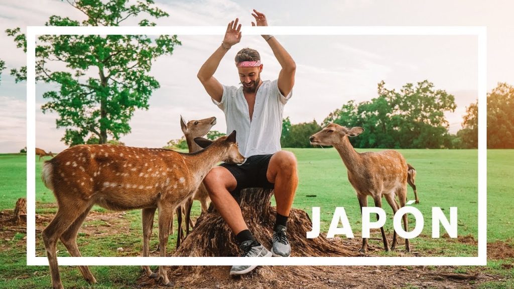 🇯🇵 LA CIUDAD LLENA DE CIERVOS DE JAPÓN 🦌 (NARA, OSAKA Y KANAZAWA) 4K | enriquealex
