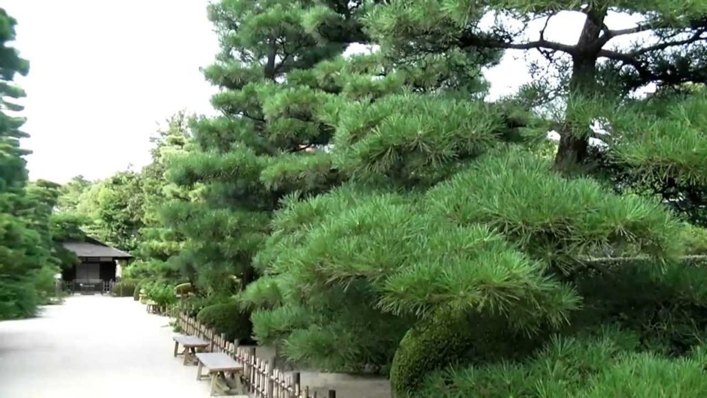 Hiroshima - Shukkeien Park