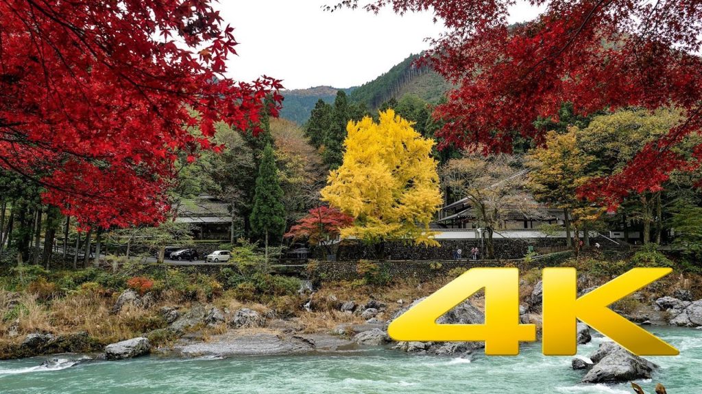 Mitake Gorge - Tokyo - 御岳渓谷 - 4K Ultra HD