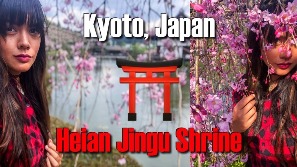 GORGEOUS!! Heian Jingu Shrine 平安神宮 During Cherry Blossom Season | Kyoto, Japan