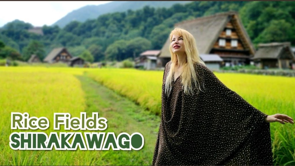 Adeyto 🏘️ RICE FIELDS of SHIRAKAWAGO🌄 Beautiful Autumn WORLD HERITAGE JAPAN 📽️ HUAWEI P20 PRO