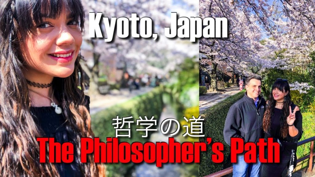The Philosopher's Path (Walk) 哲学の道 During Cherry Blossom Season | Kyoto, Japan