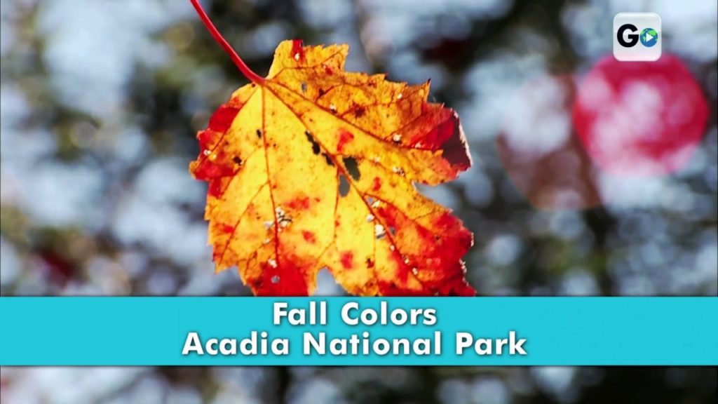Quick Look at the Fall colors of Acadia National Park