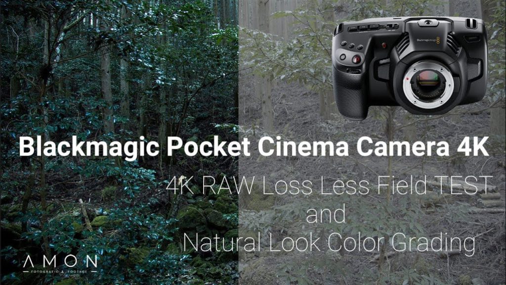 [ TEST ] In the Woods  4K Field Shooting in KOBE 4K RAW LossLess