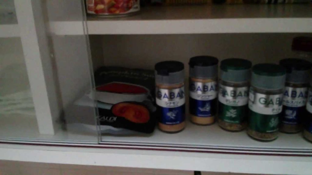 Chiba Apartment Walkthrough 2