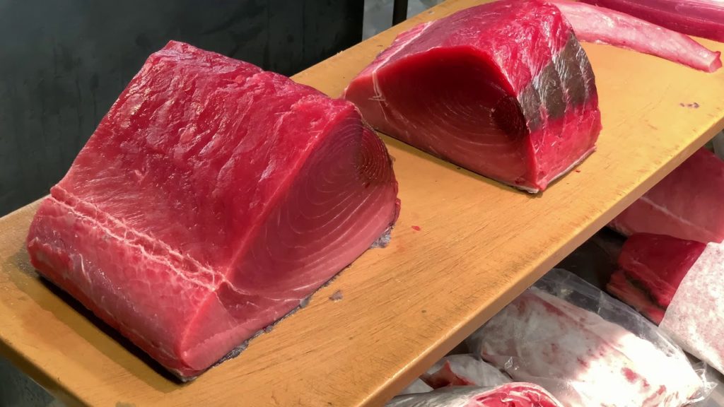 This is the process of how tuna fish is served to you | Shiogama Port (塩釜港)