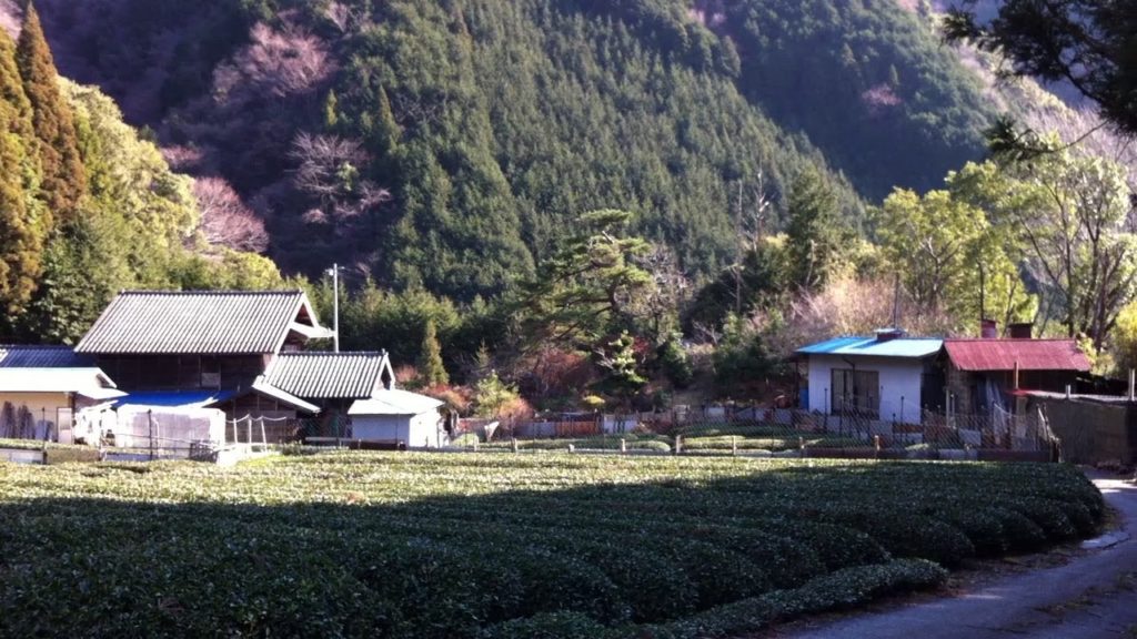 Japan Farmer's Paradise