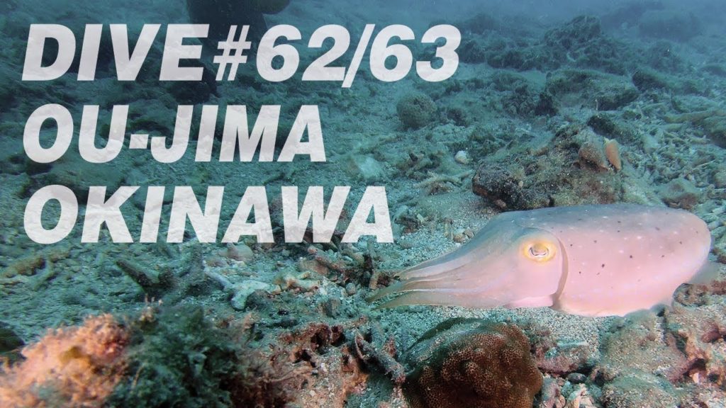 [WBSSB] Dive#62/63 Okinawa Ou-jima