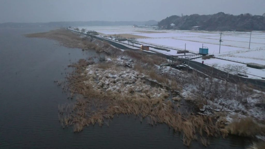 【4K】Snow. Snow? Snow! Abiko, Chiba - part 2