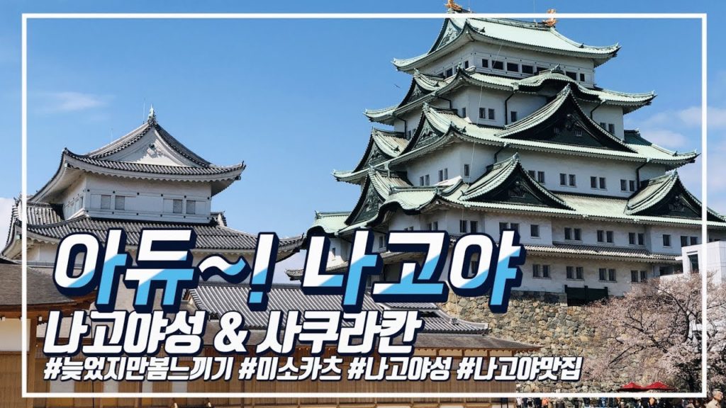 「나고야 여행」 4일차 여름에 봄 느끼기 / 나고야성 & 사쿠라칸 feat.미소카츠