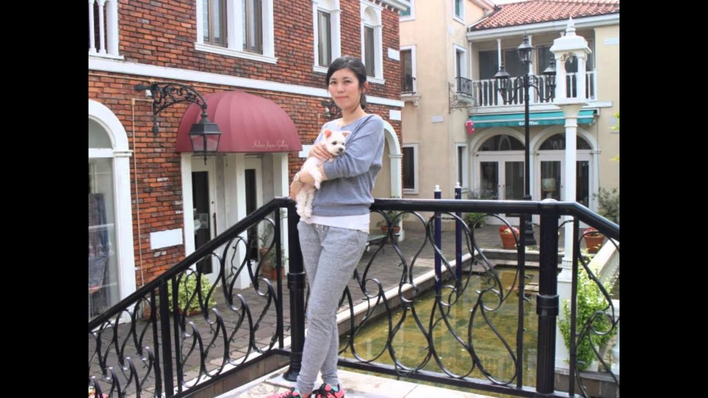 Go Go Bibi, Japan Tour