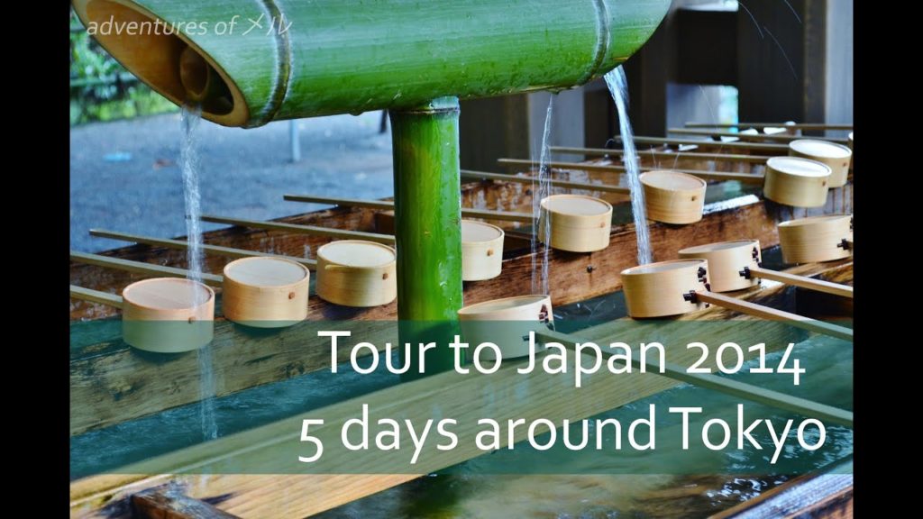 Japan tour vlog: Around Tokyo in 5 days!