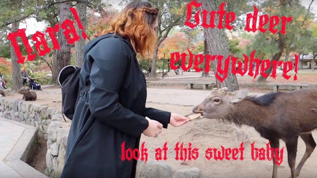 Kasuga Shrine, Nara and Deer Friends || Japan Vlog 2018