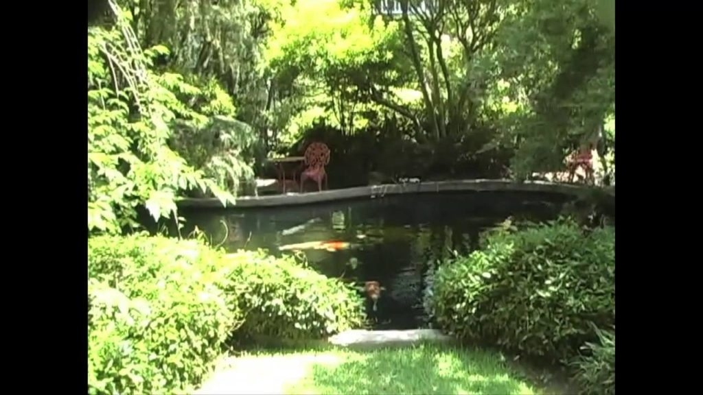 Charleston Pond Tour #2 of 8