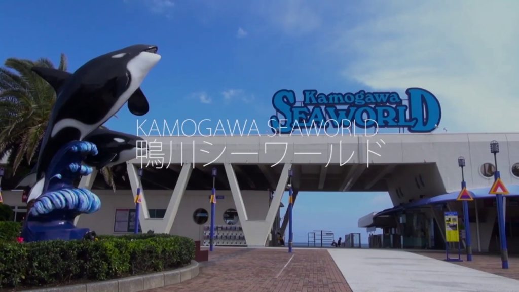 Let’s Japan! – Chiba Shopping Spree × Tour to Chiba’s Iconic Spots | MITSUI OUTLET PARK KISARAZU