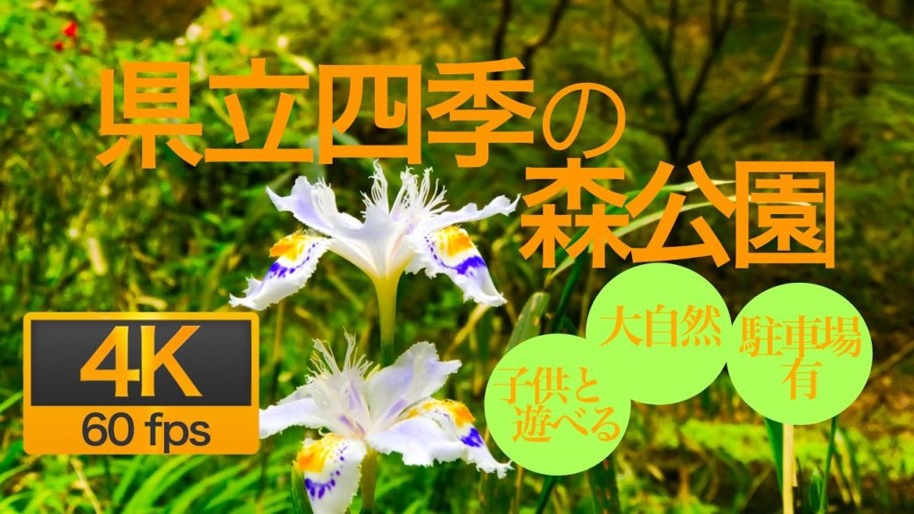 [4K 60fps] 県立四季の森公園 神奈川県横浜市