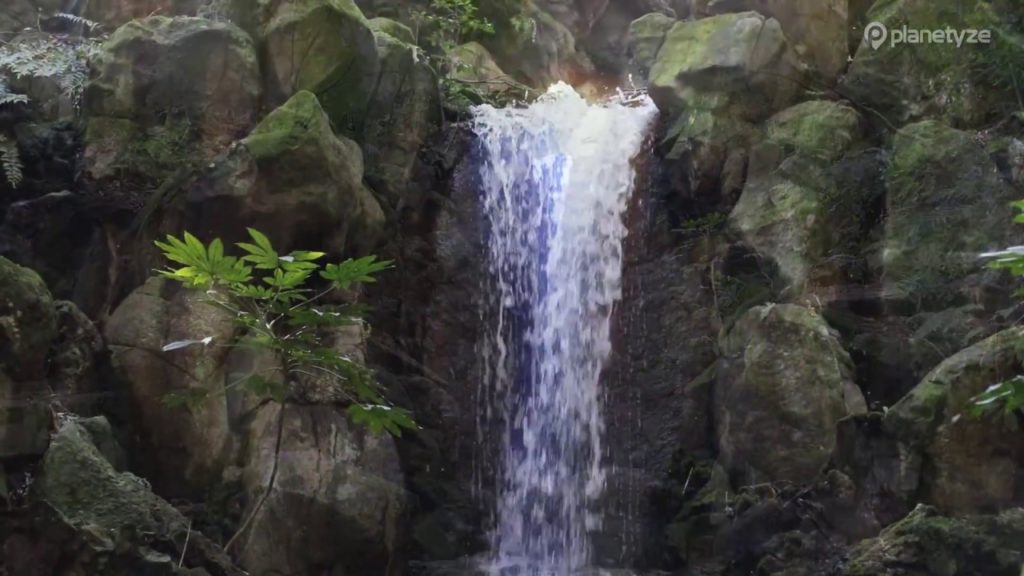 Naritasan Park,Narita | Japan Travel Guide Naritasan Park,Narita | Japan Travel Guide