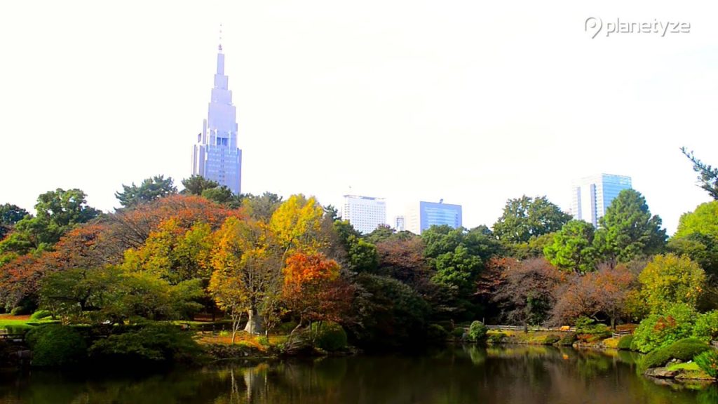 Shinjuku Gyoen National Garden , Tokyo | One Minute Japan Travel Guide