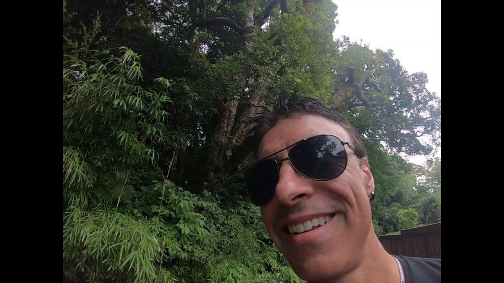 Hidden Kanazawa – D.T. Suzuki Museum 鈴木大拙館 – Shofukaku garden松風閣庭園-Nakamura Memorial Museum中村記念美術館 Hidden Kanazawa - D.T. Suzuki Museum 鈴木大拙館 - Shofukaku garden松風閣庭園-Nakamura Memorial Museum中村記念美術館