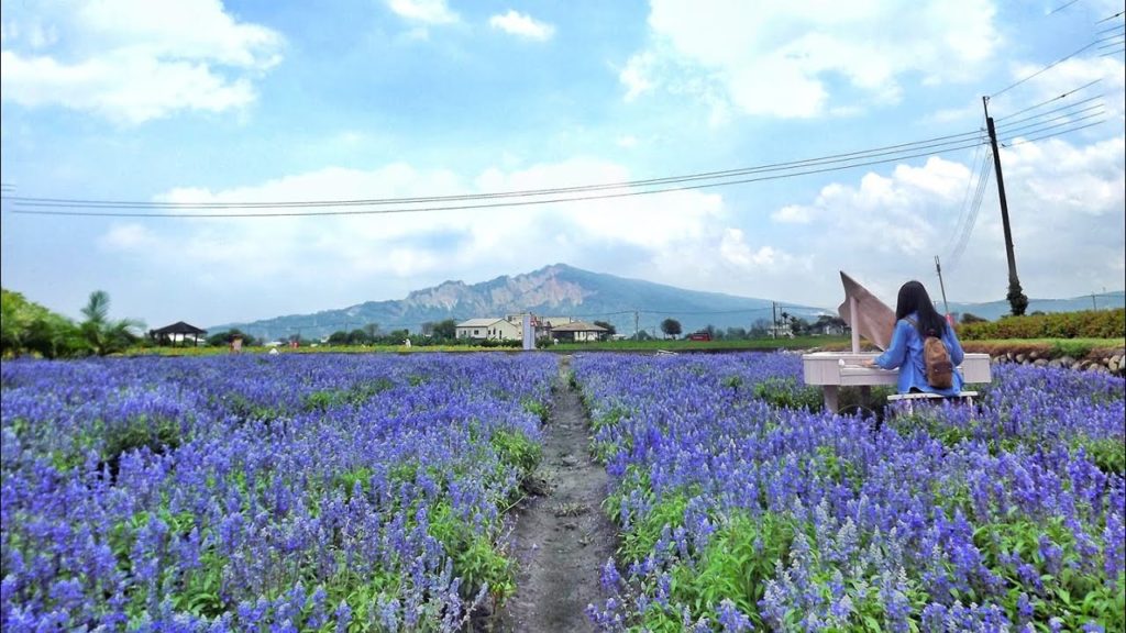 Toronto to Taichung, Taiwan - ASIA 2019 - Ep 1 [WASABI EXPLORE]