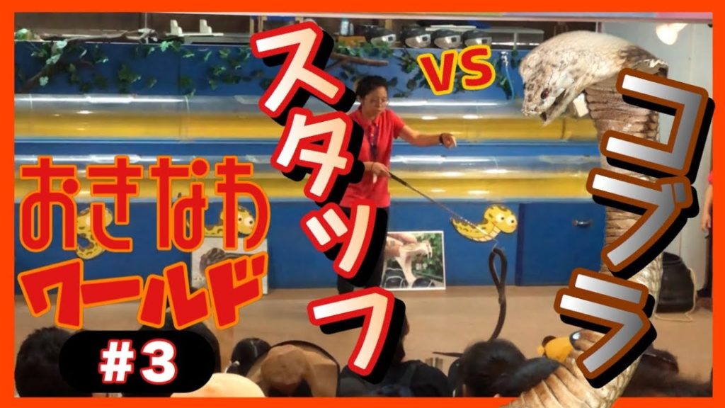 【沖縄】コブラVSスタッフ←命がけ！素手ででコブラの頭を叩け！w #3