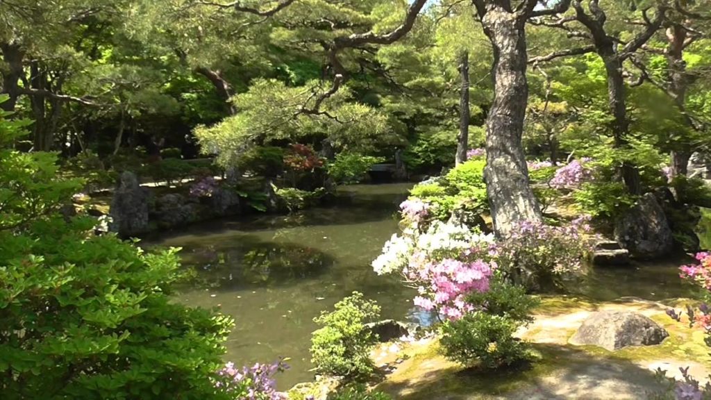 Tour Ginkaku-ji  (Silver Pavilion) and Honen-in Temples Kyoto, Japan