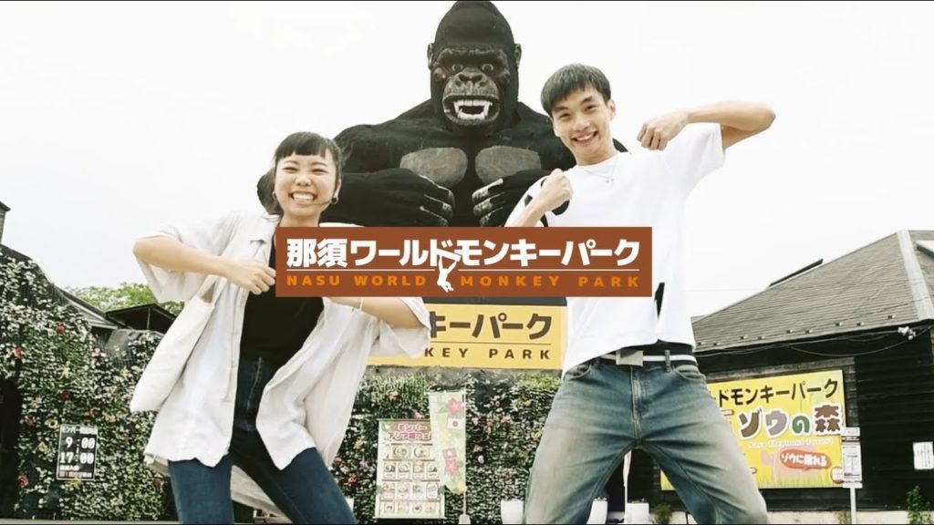 Japanese Monkey Zoo! Having Fun at Nasu World Monkey Park