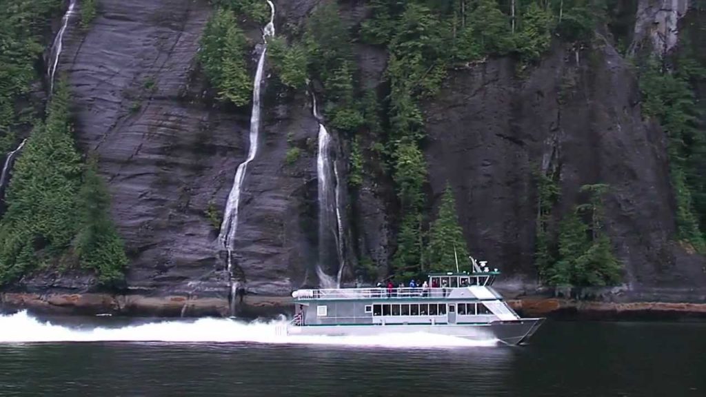 Whale Watching Tours in Ketchikan, Alaska