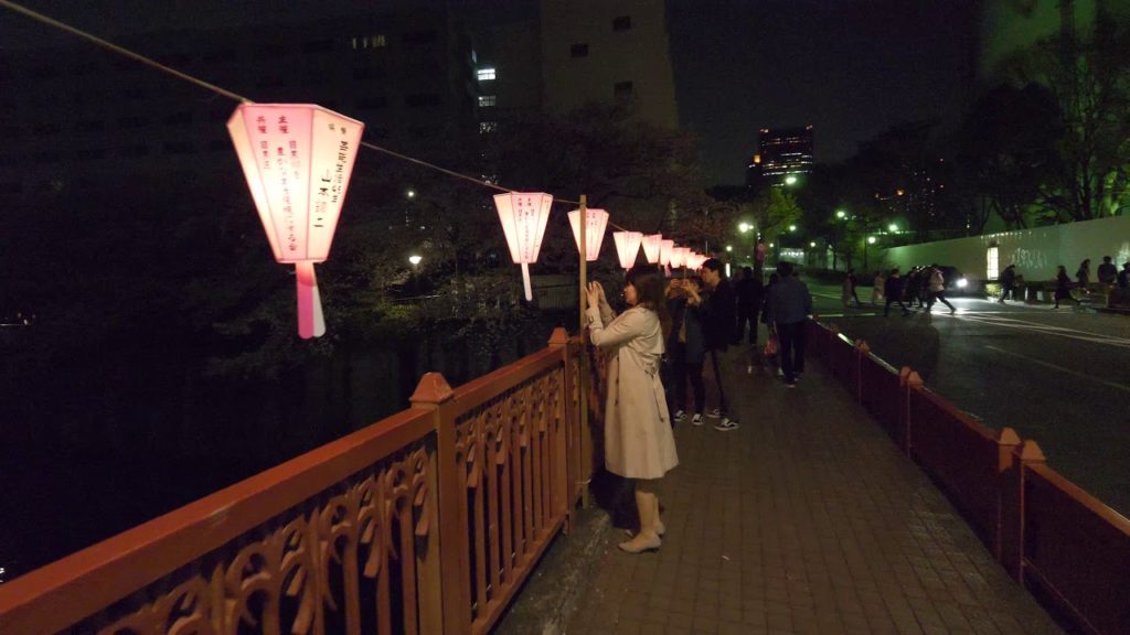 【4K】Sakura on Meguro river from end to end - part 2