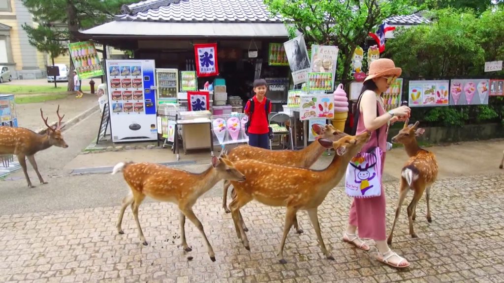 Five day Tour in Kyoto, Nara and Osaka, Japan MAVIC & OSMO+Filming