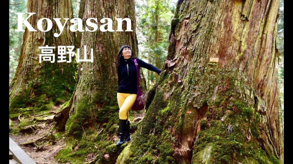 Japan Travel: Koyasan, Kii Peninsula 日本纪伊半岛高野山