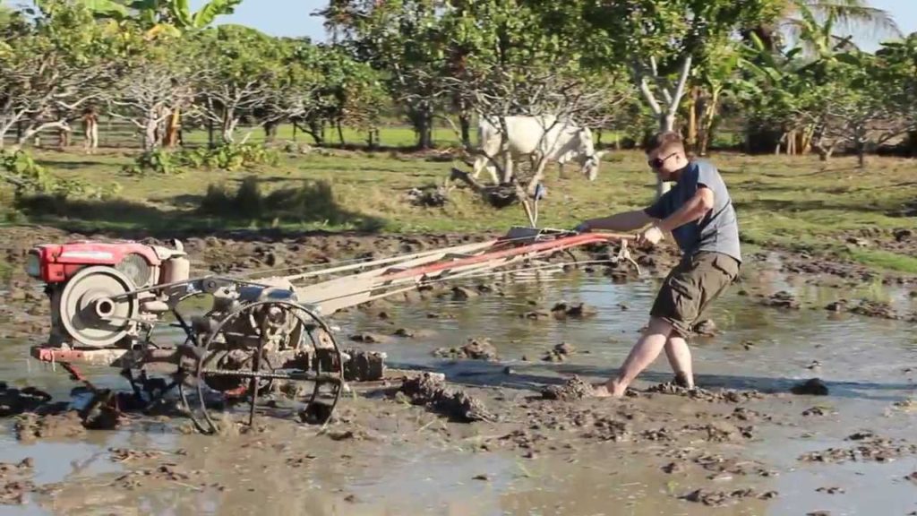 Rice Farm three 2-7-2014
