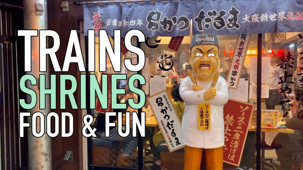 Princess Cruise Vlog - Osaka and Kyoto Japan