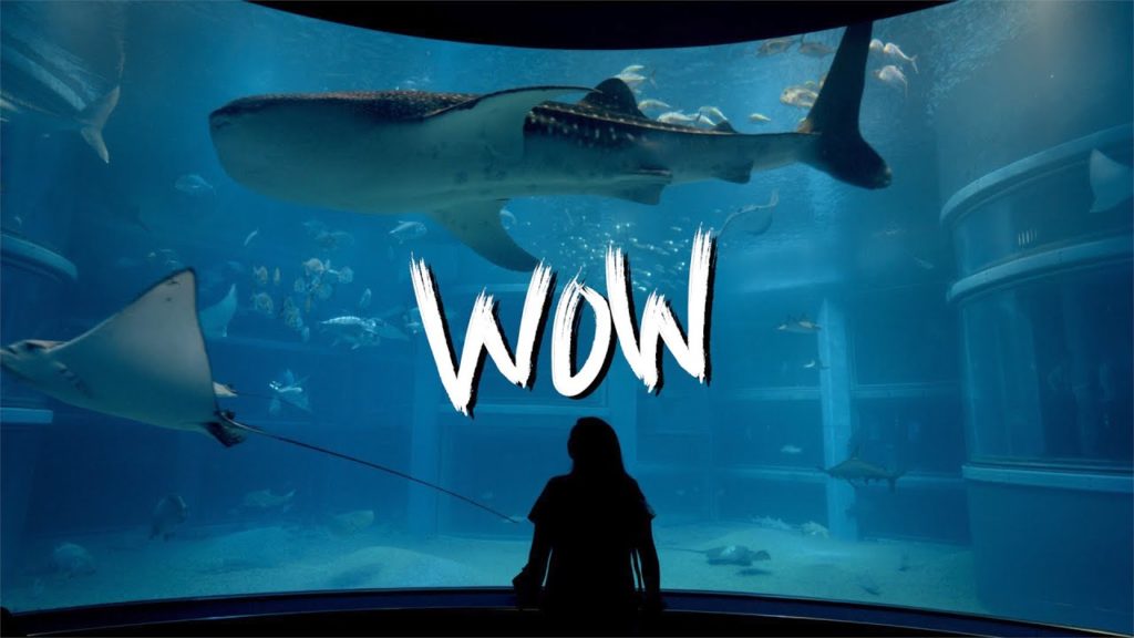 Osaka Aquarium is AMAZING!!! (Kaiyukan Aquarium)