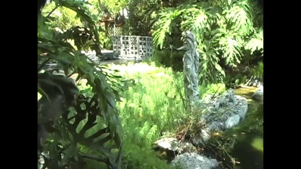 Charleston Pond Tour #3 of 8