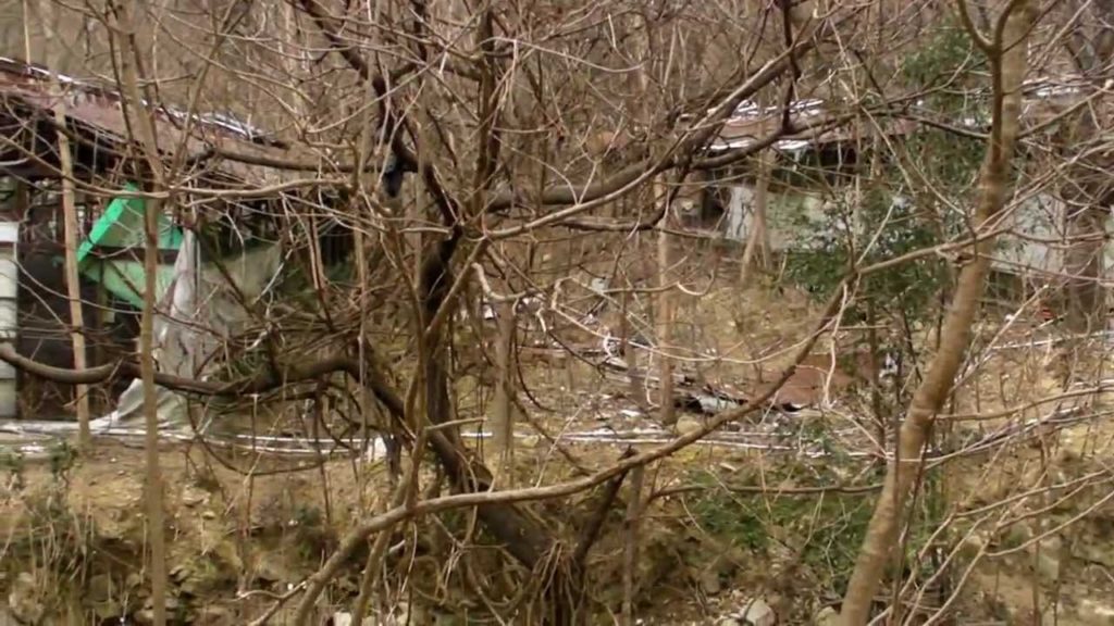 Abandoned Poultry Farm in Japan 1/2