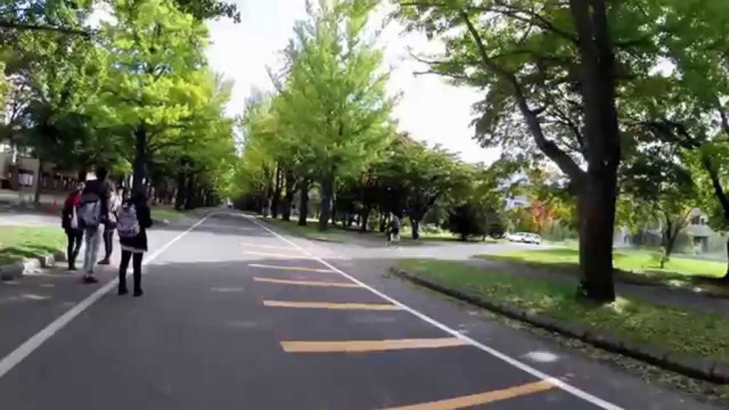 Beautiful Campus,Hokkaido University in Autumn 2015