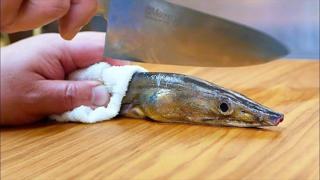 Japanese Street Food - CONGER PIKE EEL Egg Casserole Seafood Japan