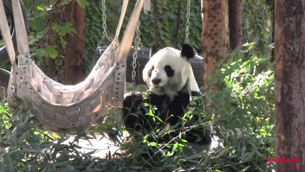 Cycling Holiday in China