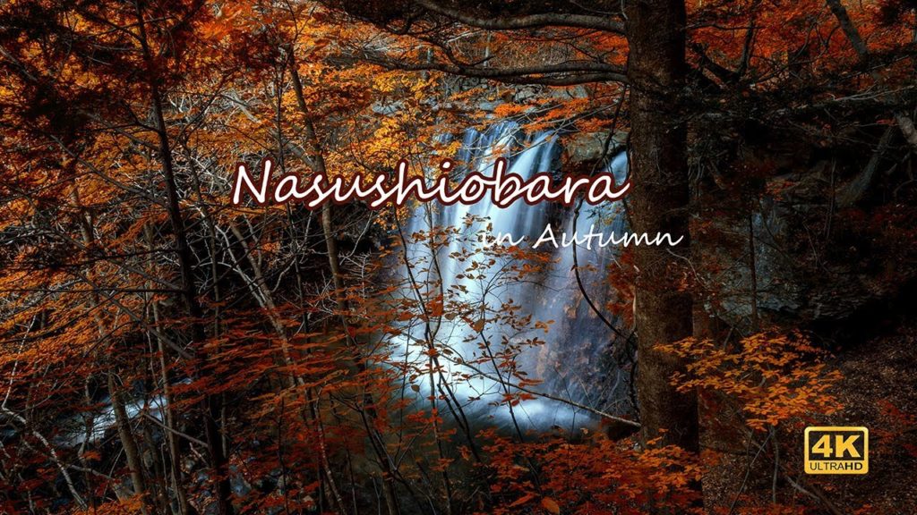 Nasushiobara, Tochigi, Japan (November 2018)