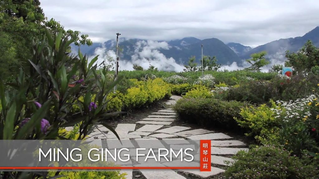 Luxury Hotels -Taiwan Island Tour Luxury Hotels -Taiwan Island Tour