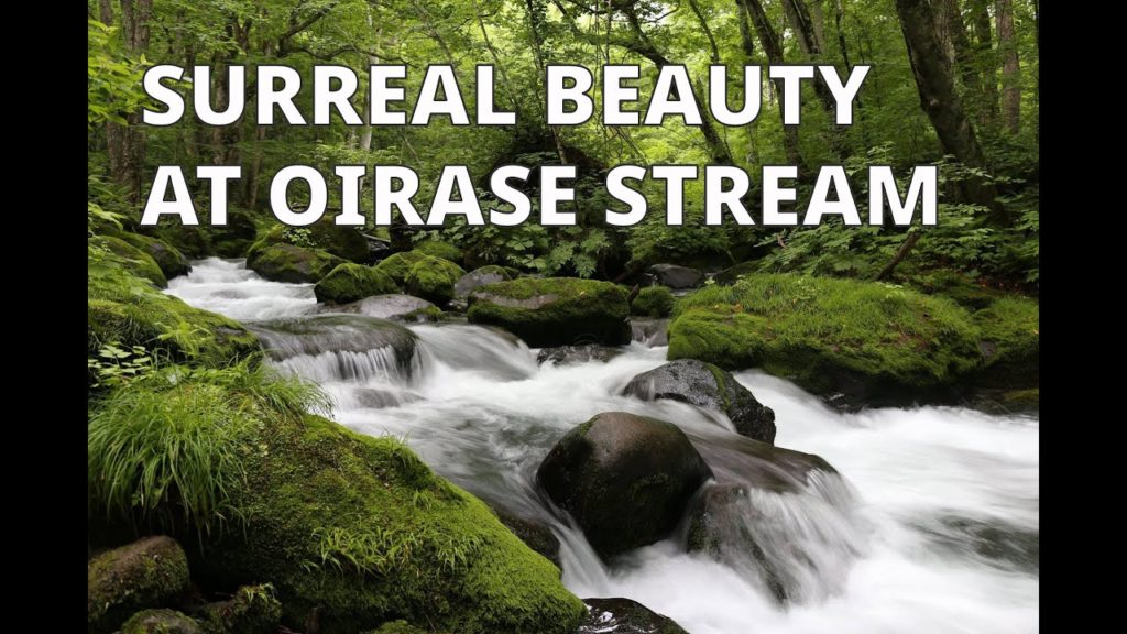 Discover a Ghibli-like World at Oirase Stream Discover a Ghibli-like World at Oirase Stream
