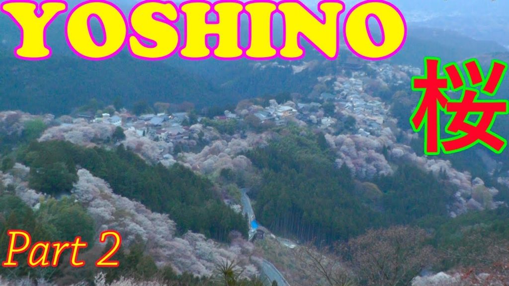 Mt. Yoshino Cherry Blossoms, Nara Part 2 🌸 吉野山奈良 🌸 Japan As It Truly Is
