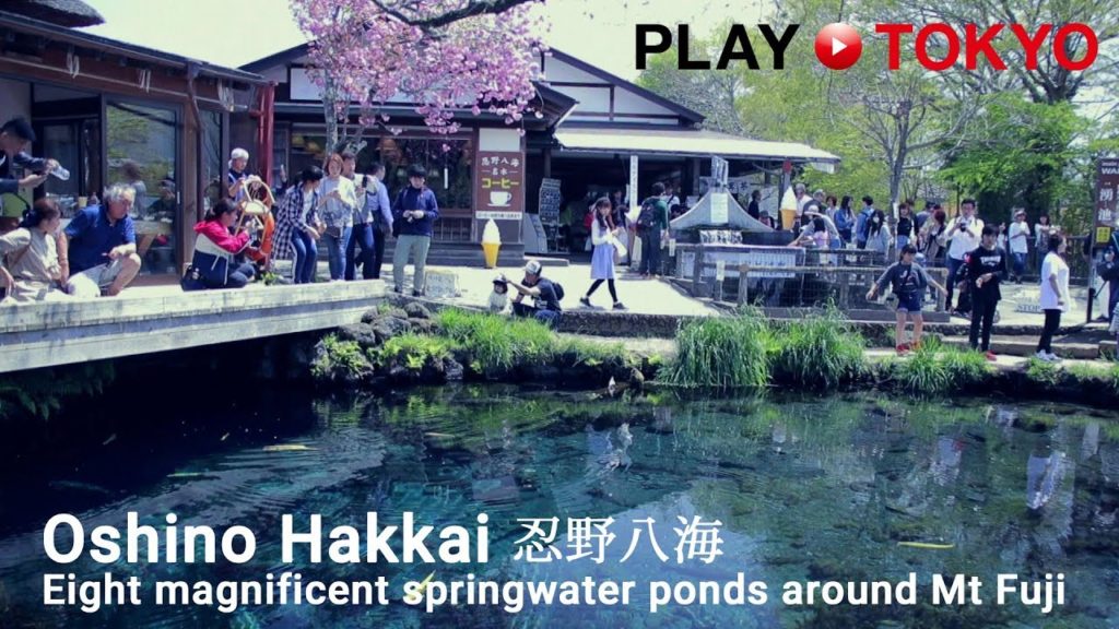 Oshino Hakkai | Eight magnificent springwater ponds around Mt Fuji Oshino Hakkai | Eight magnificent springwater ponds around Mt Fuji