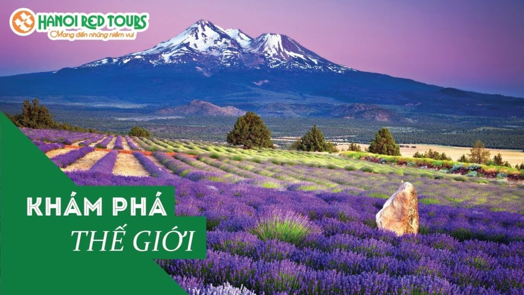 Mùa Hoa Oải Hương Hokkaido - Khám Phá Thế Giới ( HanoiRedtours)