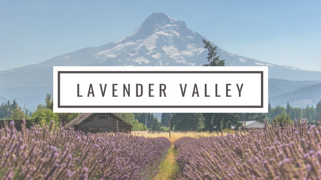 Lavender Valley - Hood River, Oregon