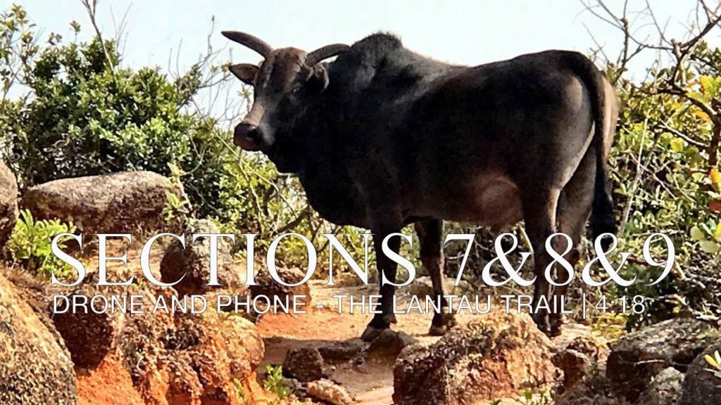 Sections 7, 8&9 of the Lantau Trail