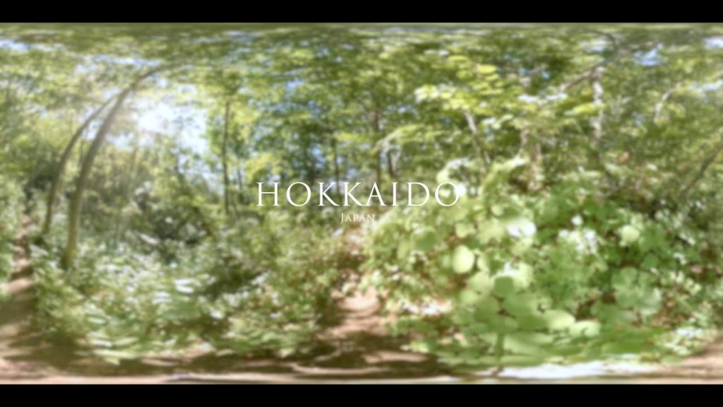 360˚ Hokkaido forest, Japan